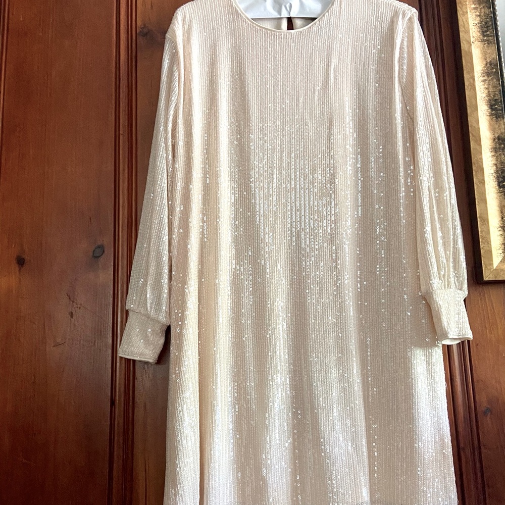 HM blush sequence shift dress size XL